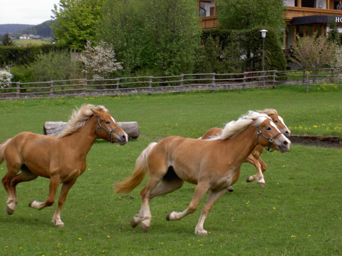 Residence Tolderhof - Olangcard Included Valdaora di Sopra Zewnętrze zdjęcie